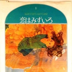 Пластинка Japan vinyl Популярные мелодии в исполнении оркестра. Пластинка 1